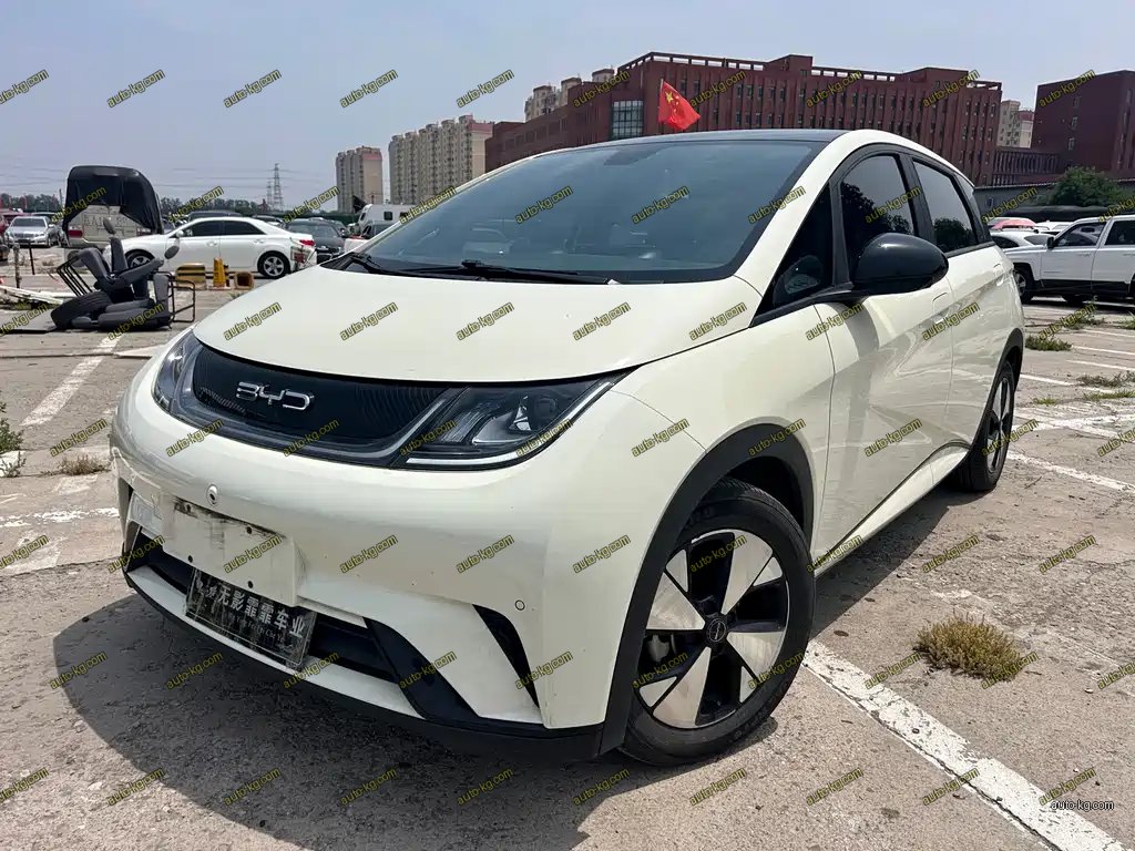 BYD Dolphin 2023