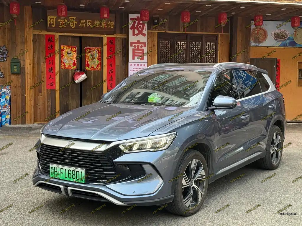 BYD Pro New Energy 2024