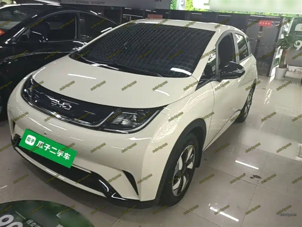 BYD Dolphin 2025