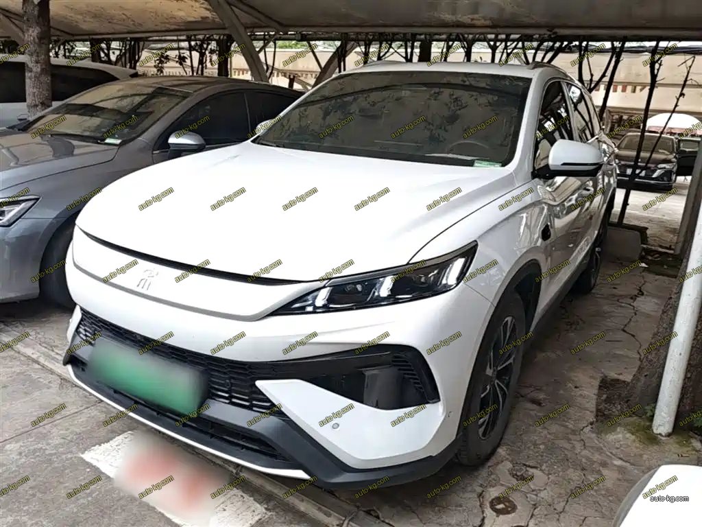 BYD Pro New Energy 2025