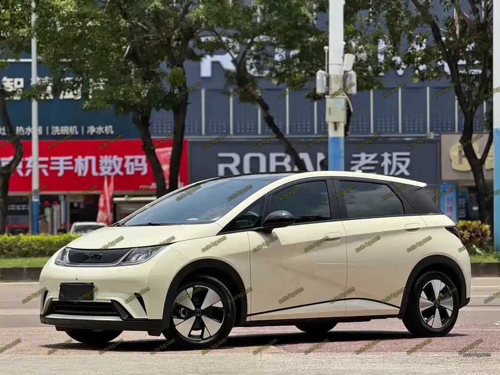 BYD Dolphin 2023