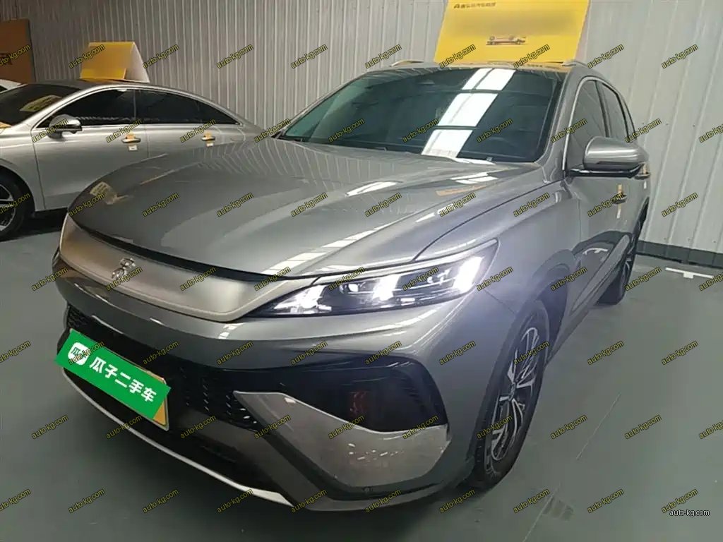 BYD Pro New Energy 2025