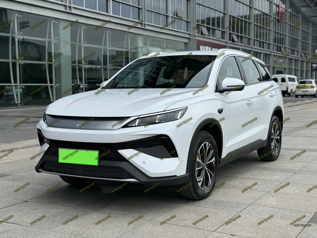BYD Pro New Energy 2025