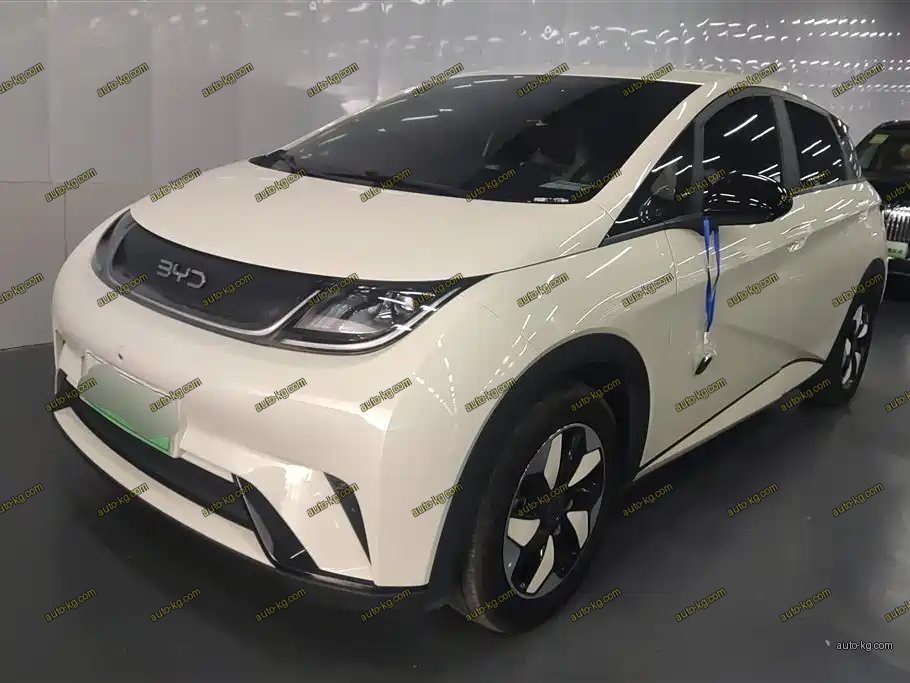 BYD Dolphin 2024