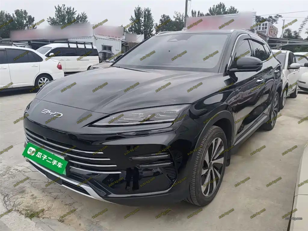 BYD PLUS New Energy 2024