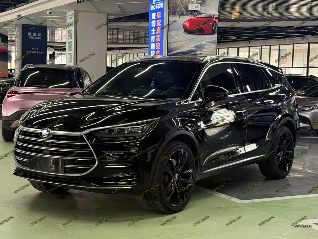 BYD Tang New Energy 2021