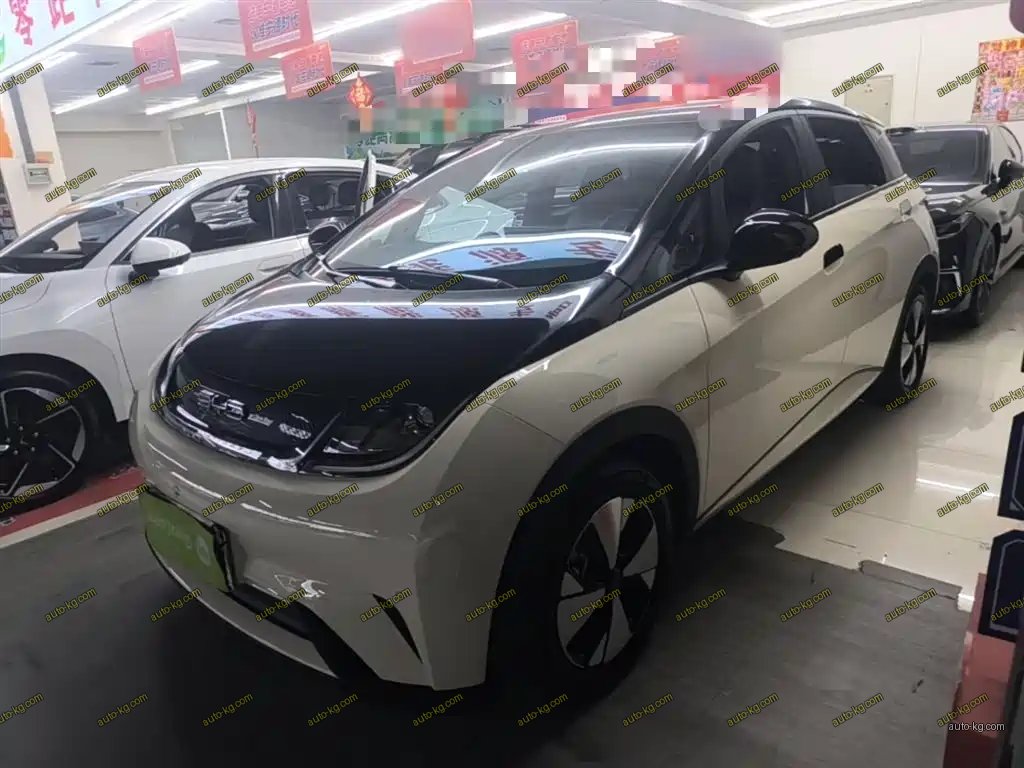 BYD Dolphin 2024
