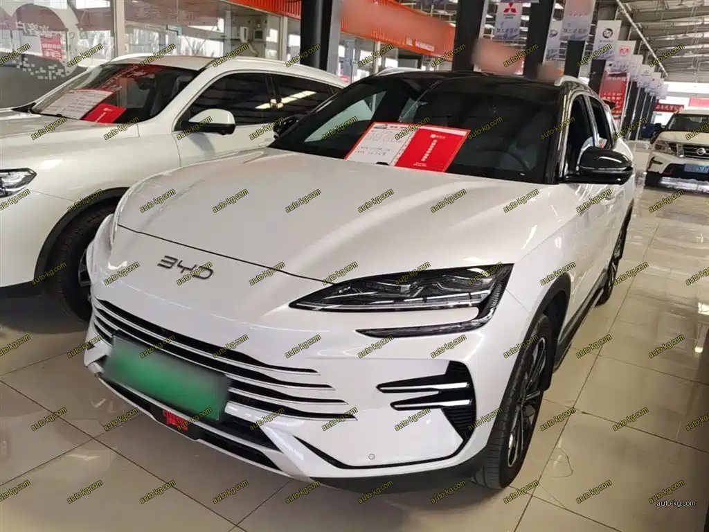 BYD PLUS New Energy 2024