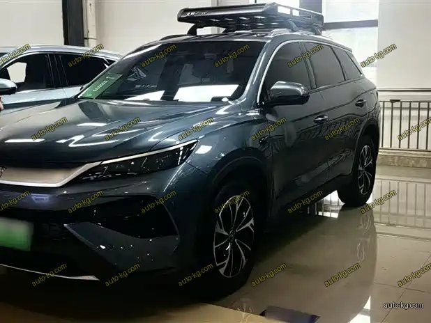 BYD Pro New Energy 2025
