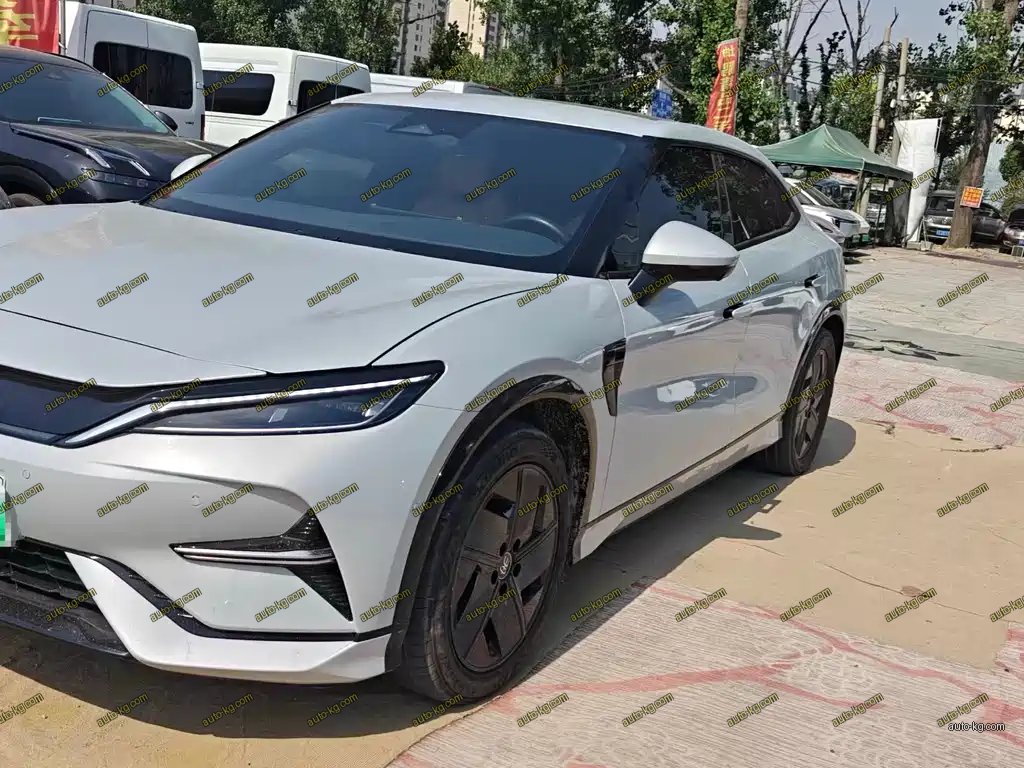 BYD L EV 2024