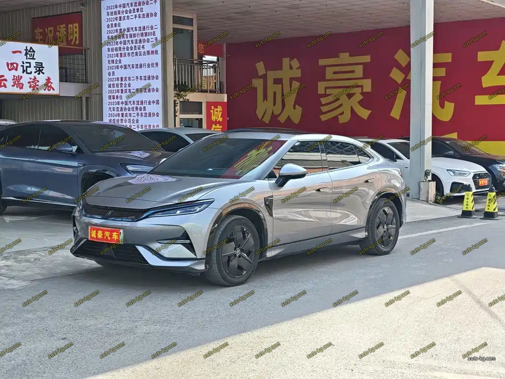 BYD L EV 2024