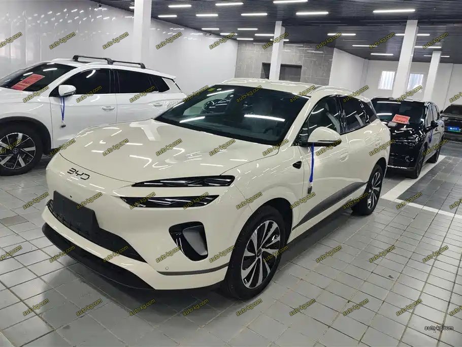 BYD 海狮06 2025