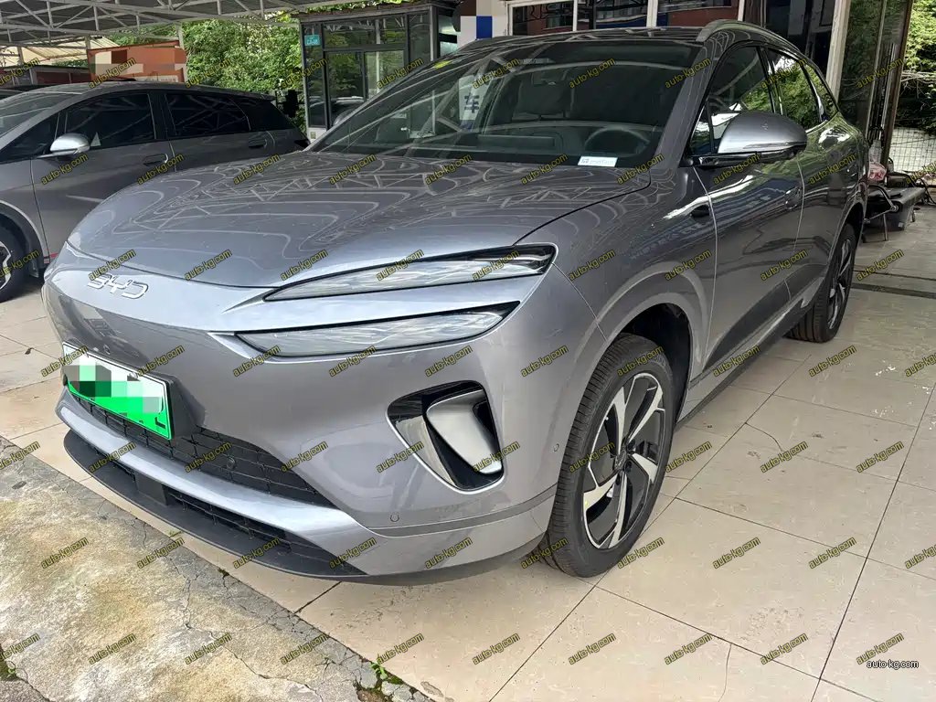 BYD 海狮06 2026