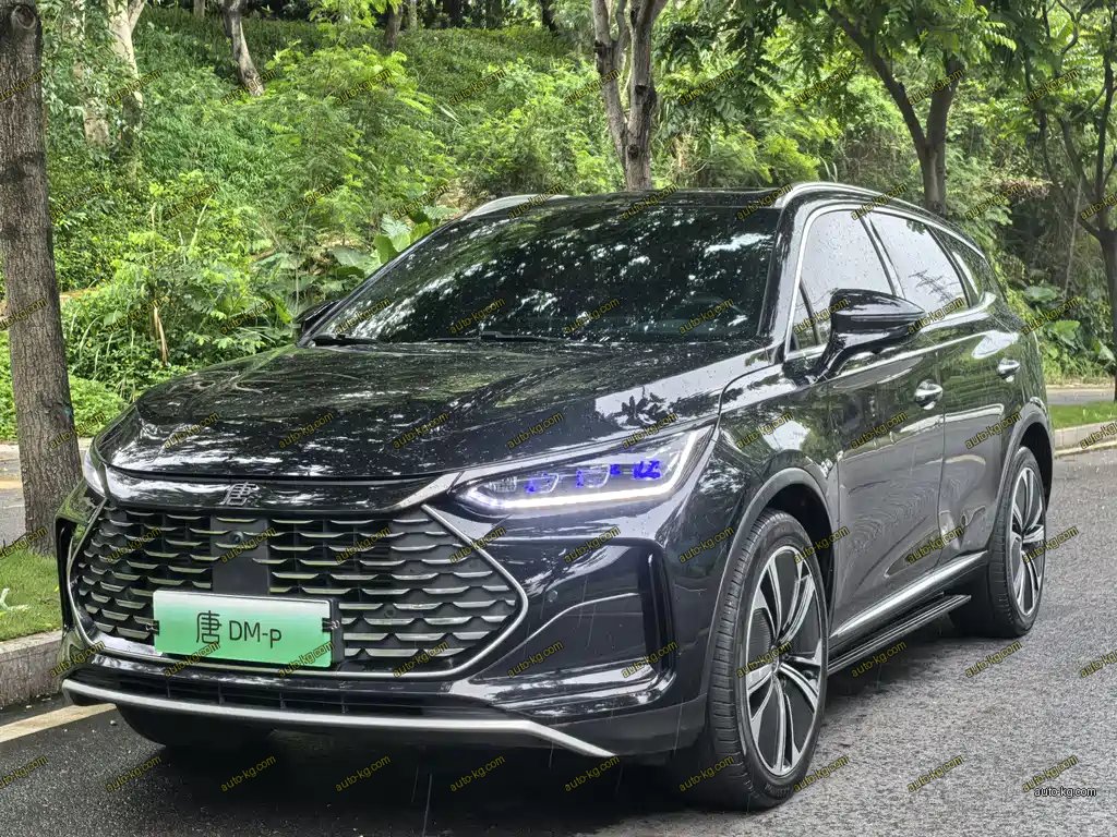 BYD Tang New Energy 2023