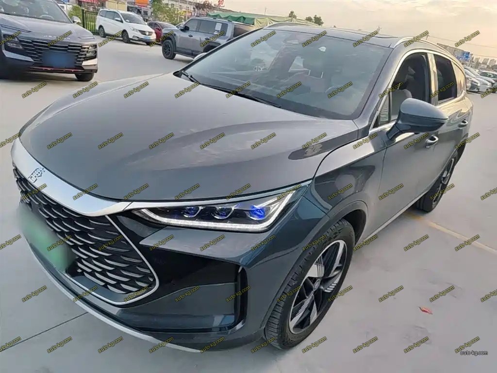 BYD Tang New Energy 2024