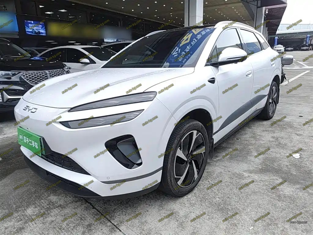 BYD 海狮06 2025