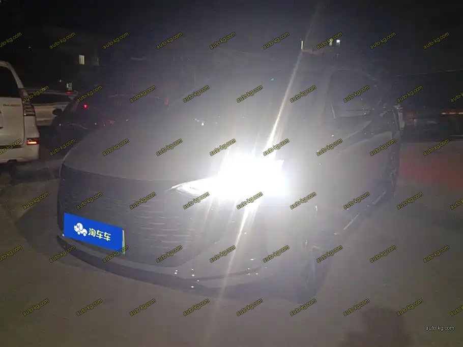 BYD Tang New Energy 2024