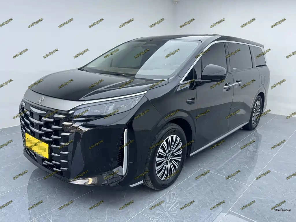 BYD Xia 2025