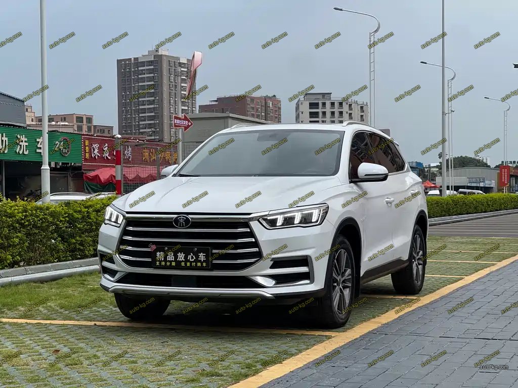 BYD Pro 2020