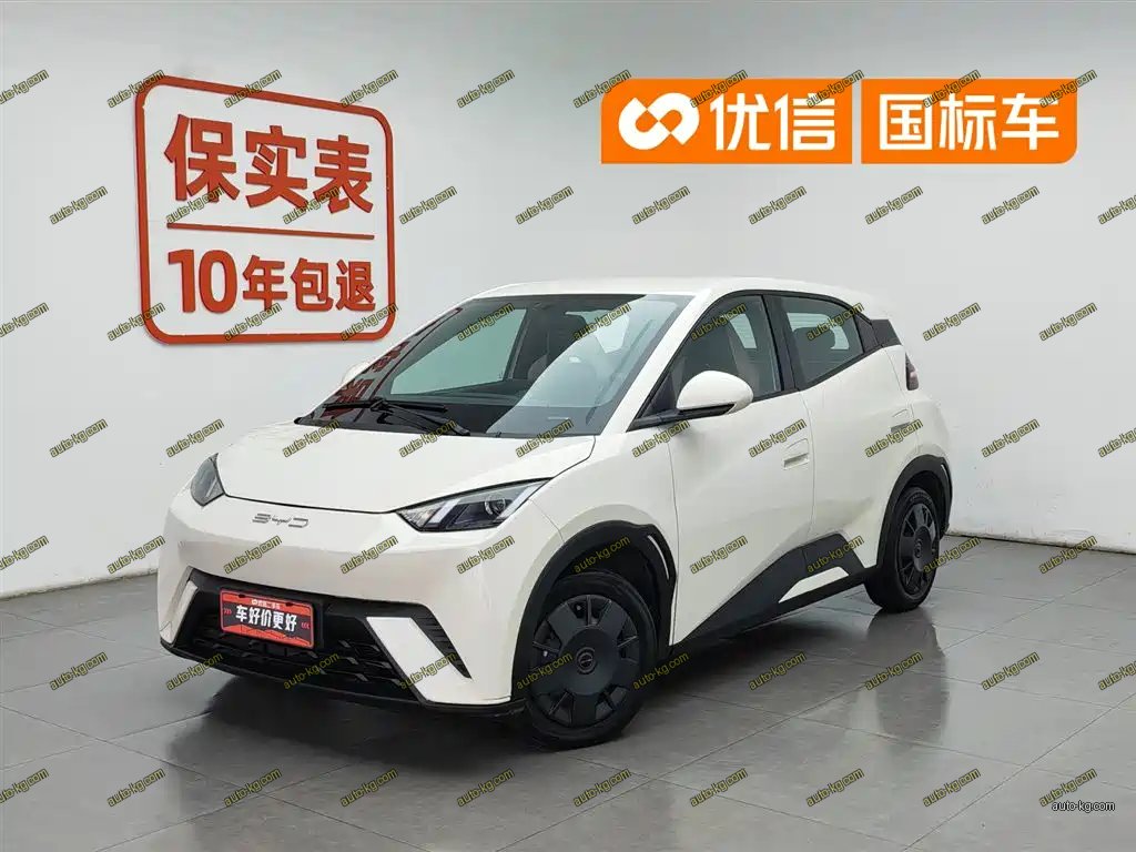 BYD Seagull 2024