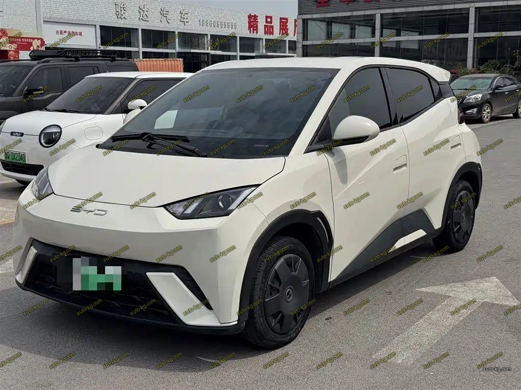 BYD Seagull 2024