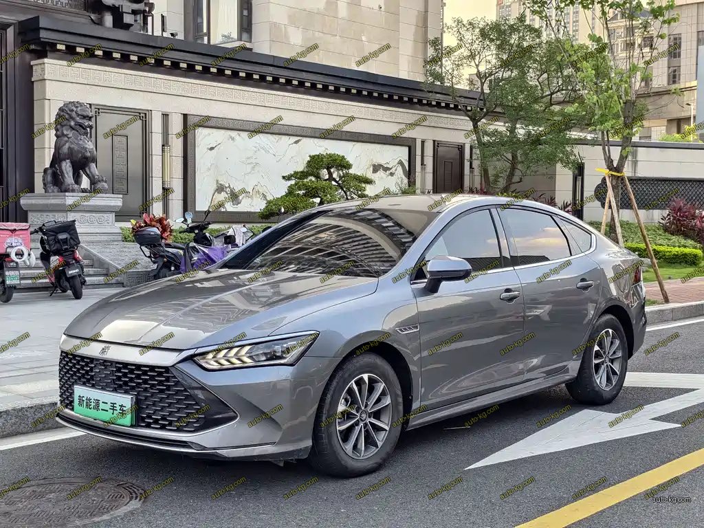 BYD Qin PLUS 2024