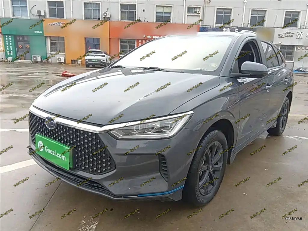 BYD e2 2021