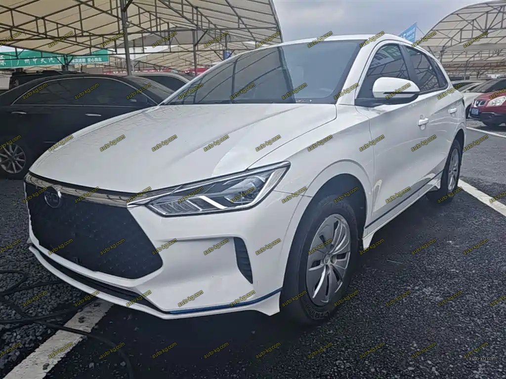 BYD e2 2021