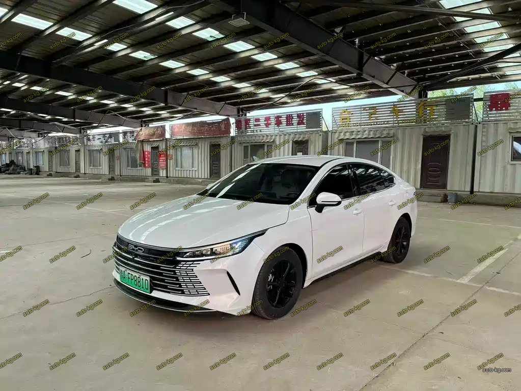 BYD Destroyer 05 2024