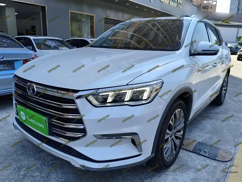 BYD Pro New Energy 2020
