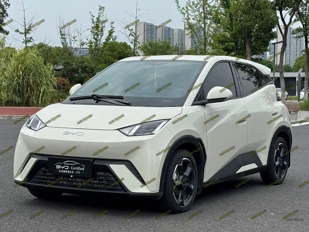 BYD Seagull 2024