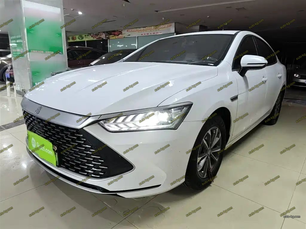 BYD Qin PLUS 2023