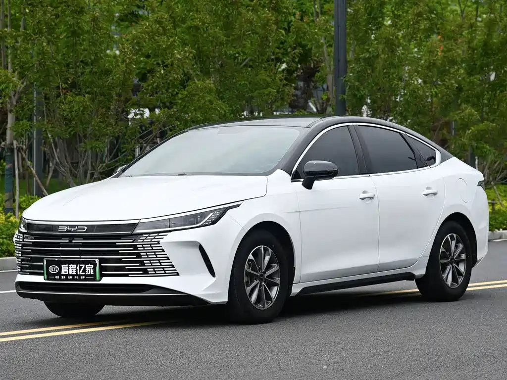 BYD Destroyer 05 2024
