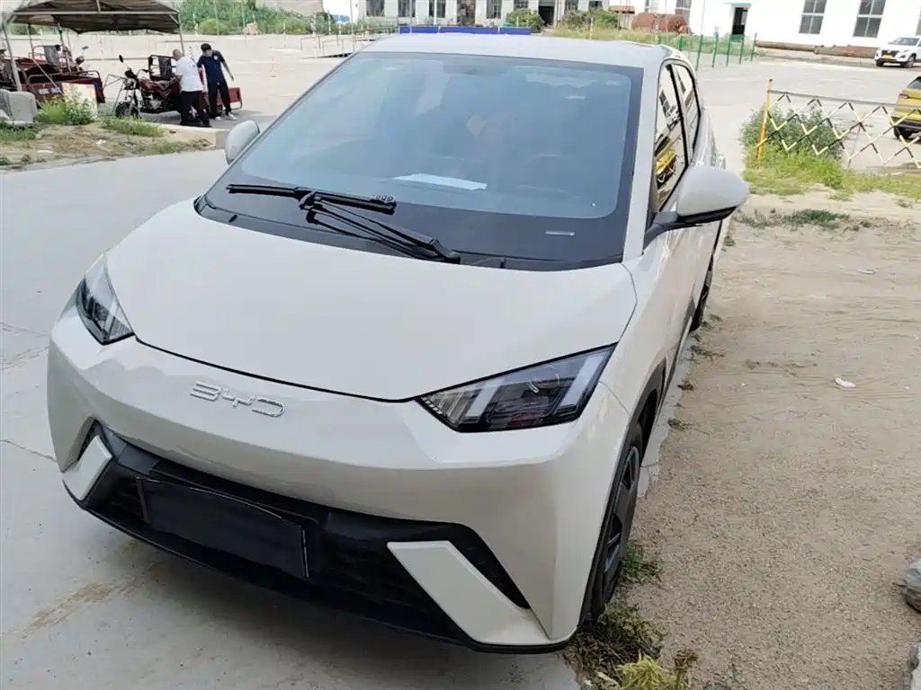 BYD Seagull 2024