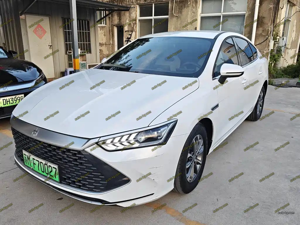 BYD Qin PLUS 2024