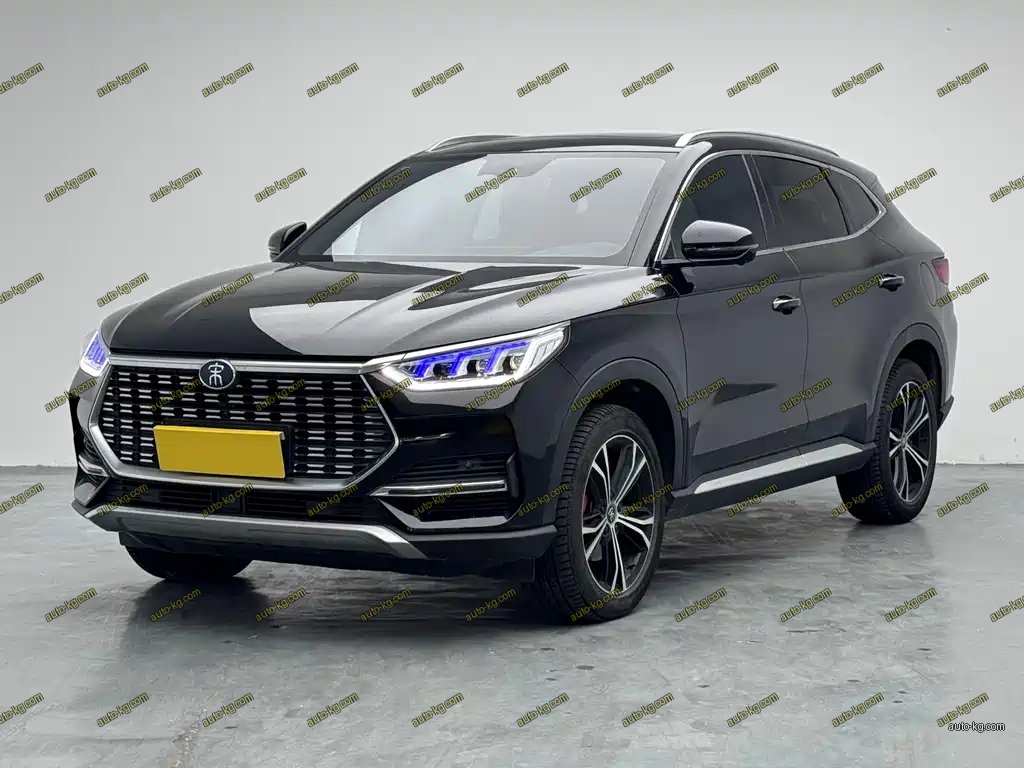 BYD PLUS 2021