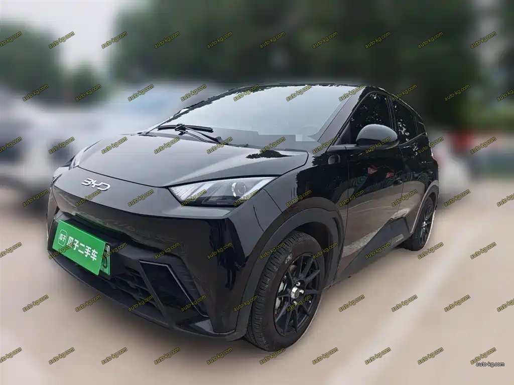 BYD Seagull 2024