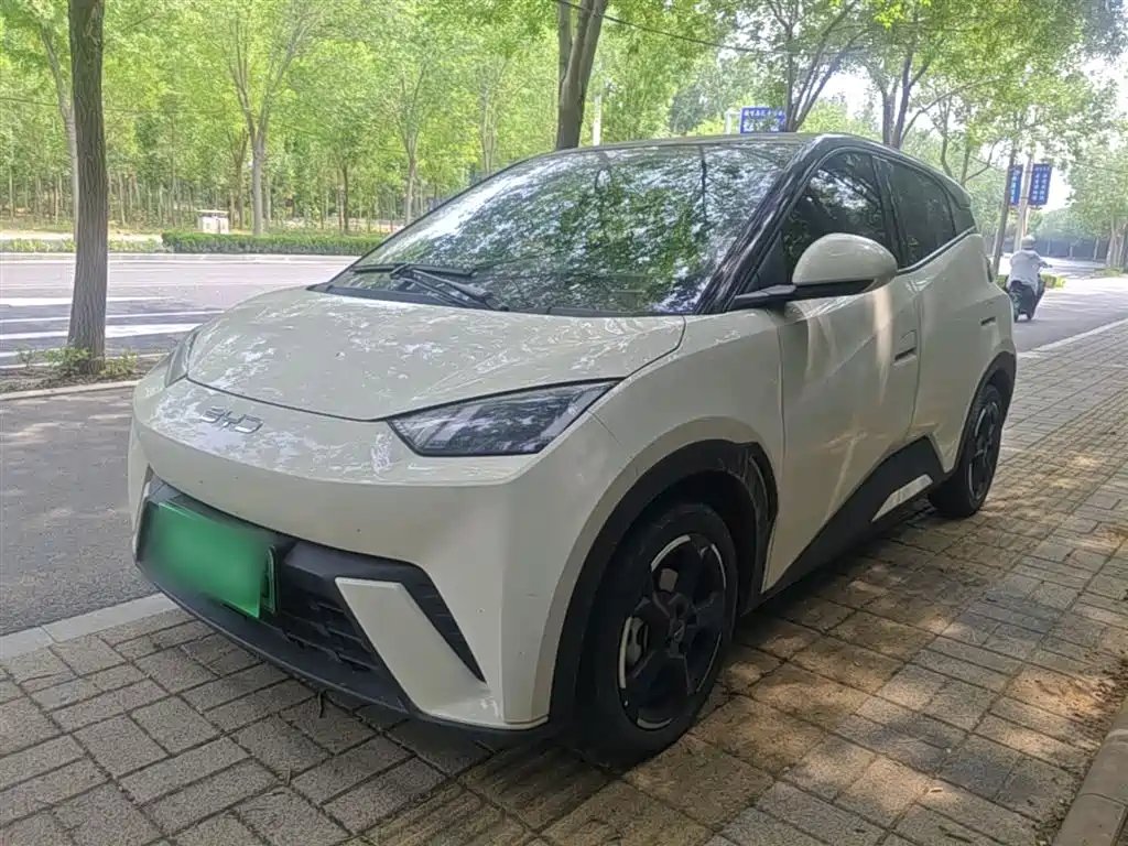 BYD Seagull 2024