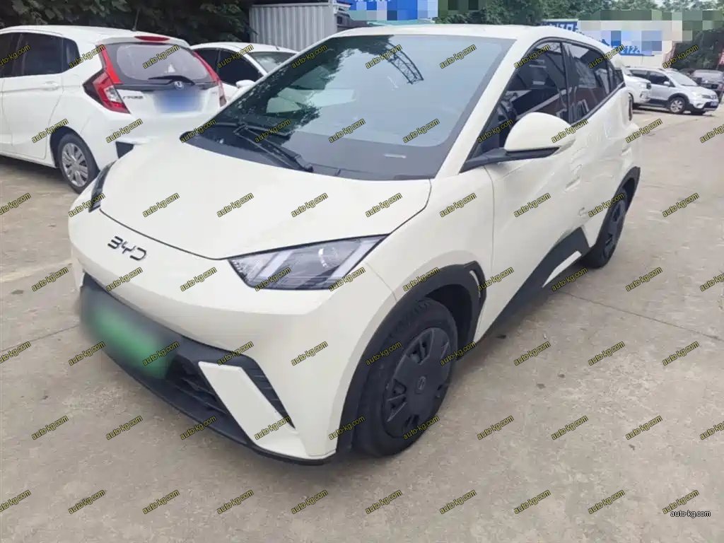 BYD Seagull 2024
