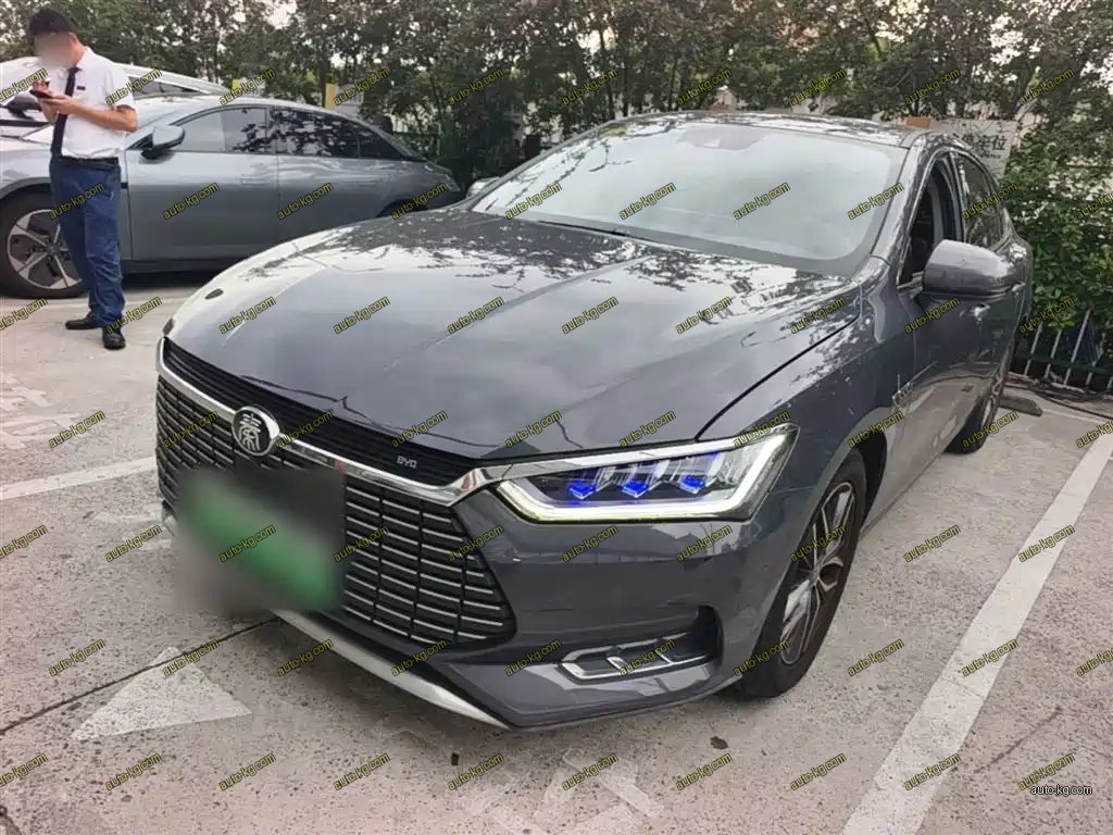 BYD Qin Pro NEV 2020