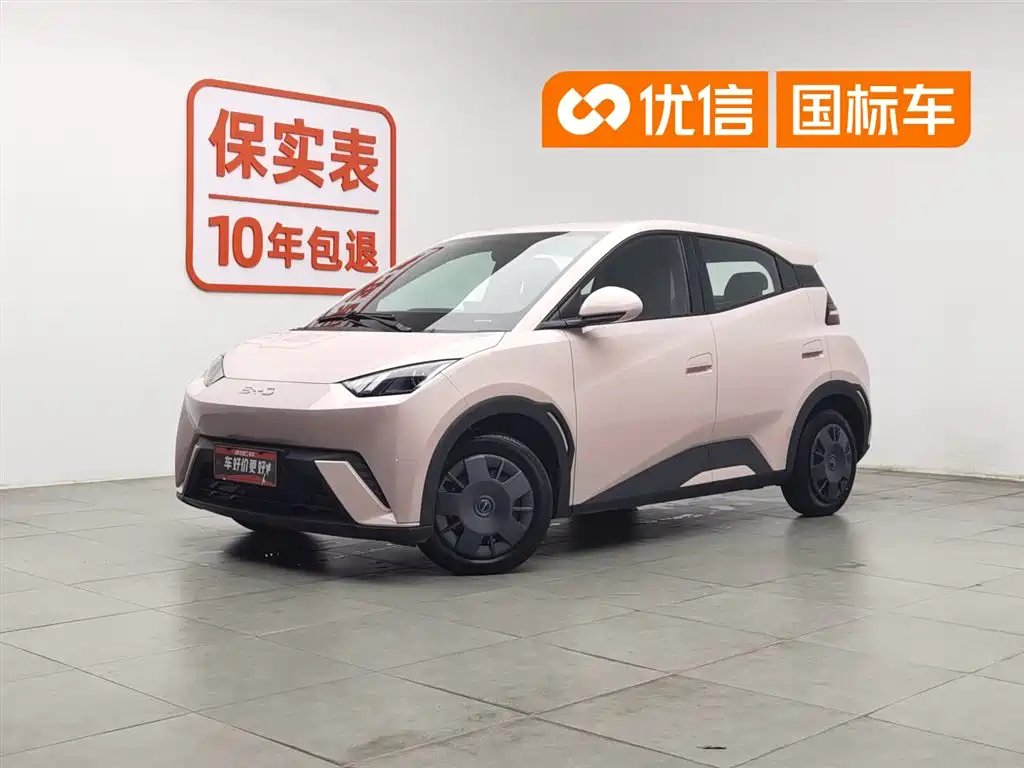 BYD Seagull 2024