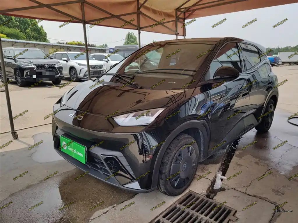 BYD Seagull 2024
