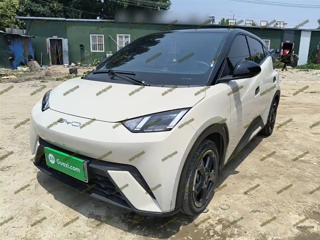 BYD Seagull 2024
