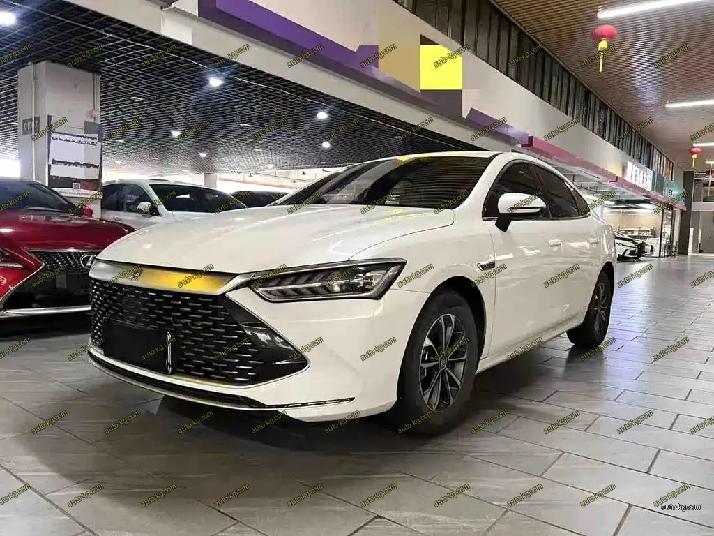 BYD Qin PLUS 2024