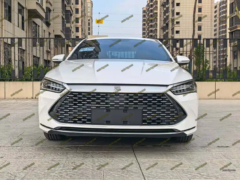 BYD Qin PLUS 2023