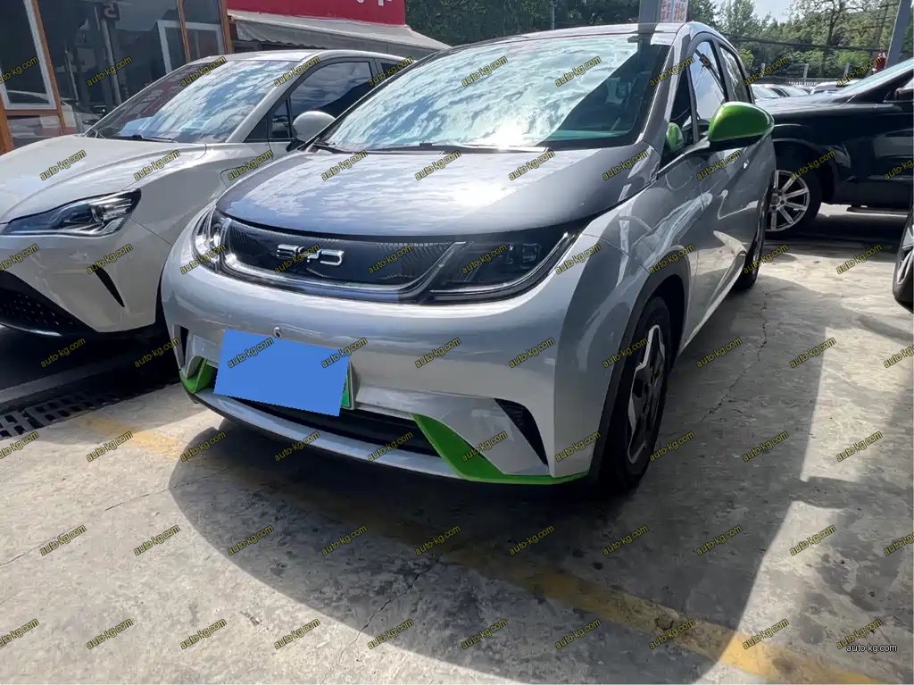 BYD Dolphin 2022