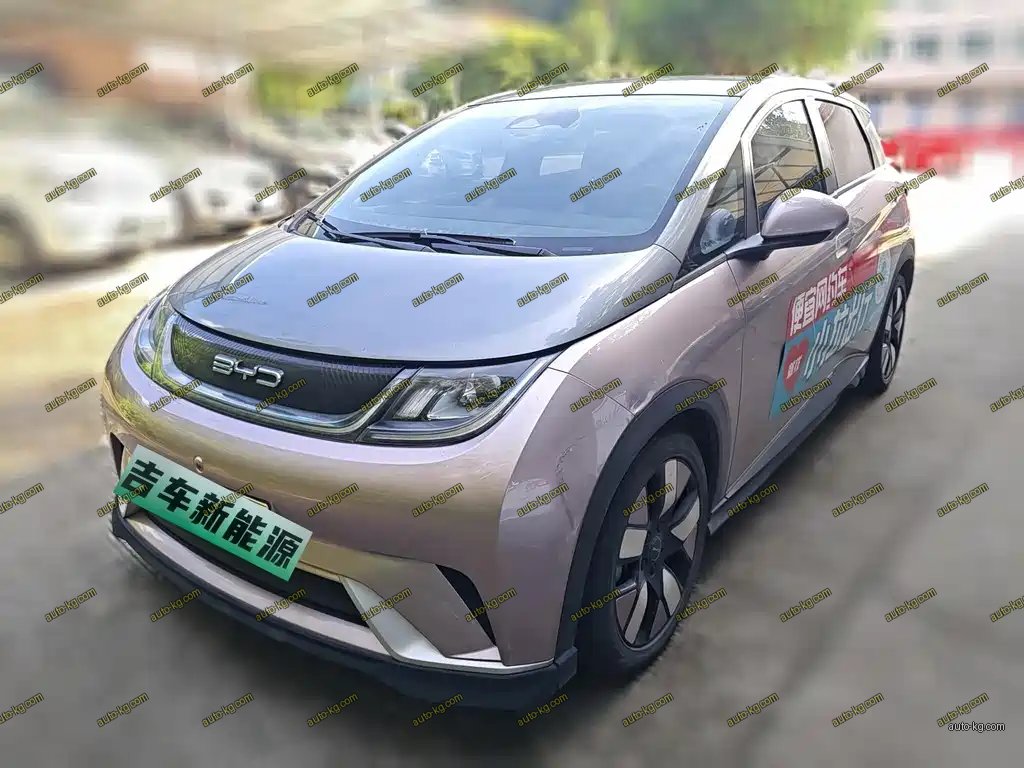 BYD Dolphin 2021
