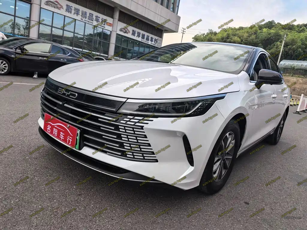BYD Destroyer 05 2024