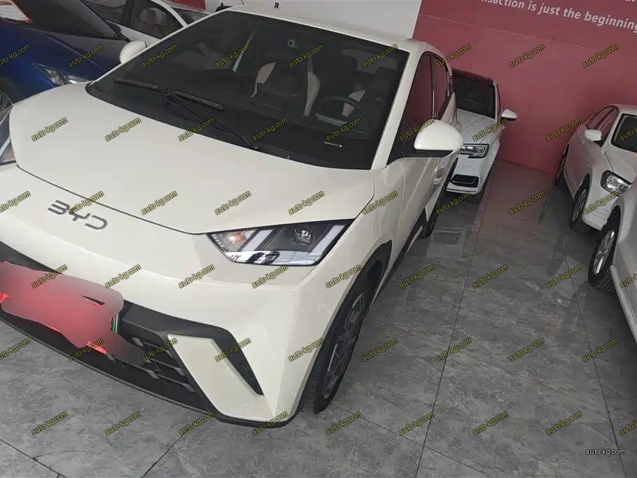 BYD Seagull 2024