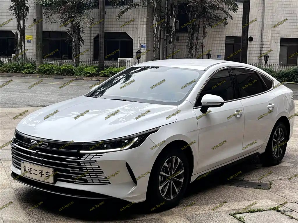 BYD Destroyer 05 2024